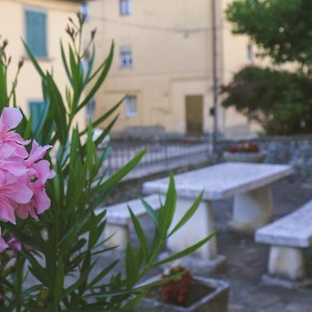 Casa Con Giardino In Mugello A 30 Minuti Da Firenze "Soleluna" Osteria di Novoli Ngoại thất bức ảnh