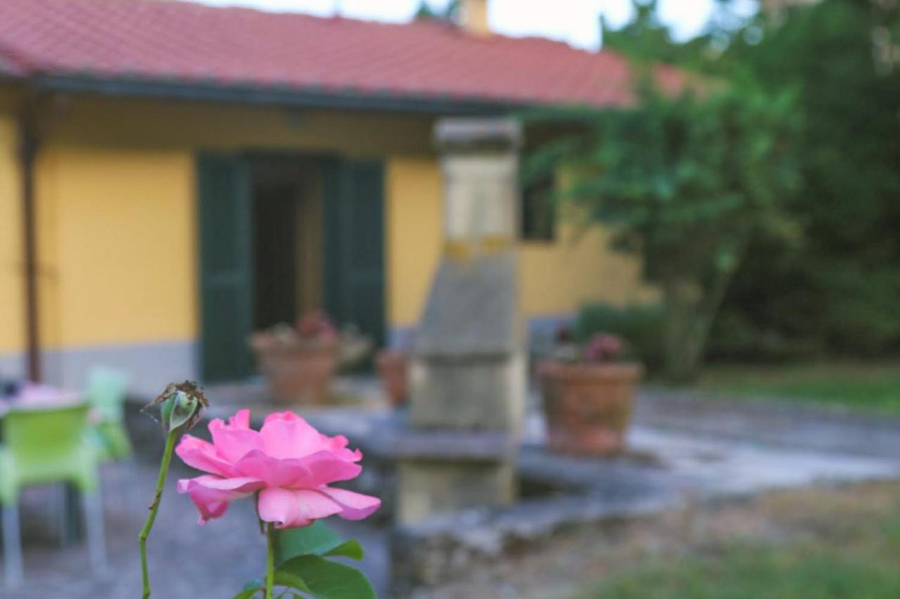 Casa Con Giardino In Mugello A 30 Minuti Da Firenze "Soleluna" Osteria di Novoli Ngoại thất bức ảnh